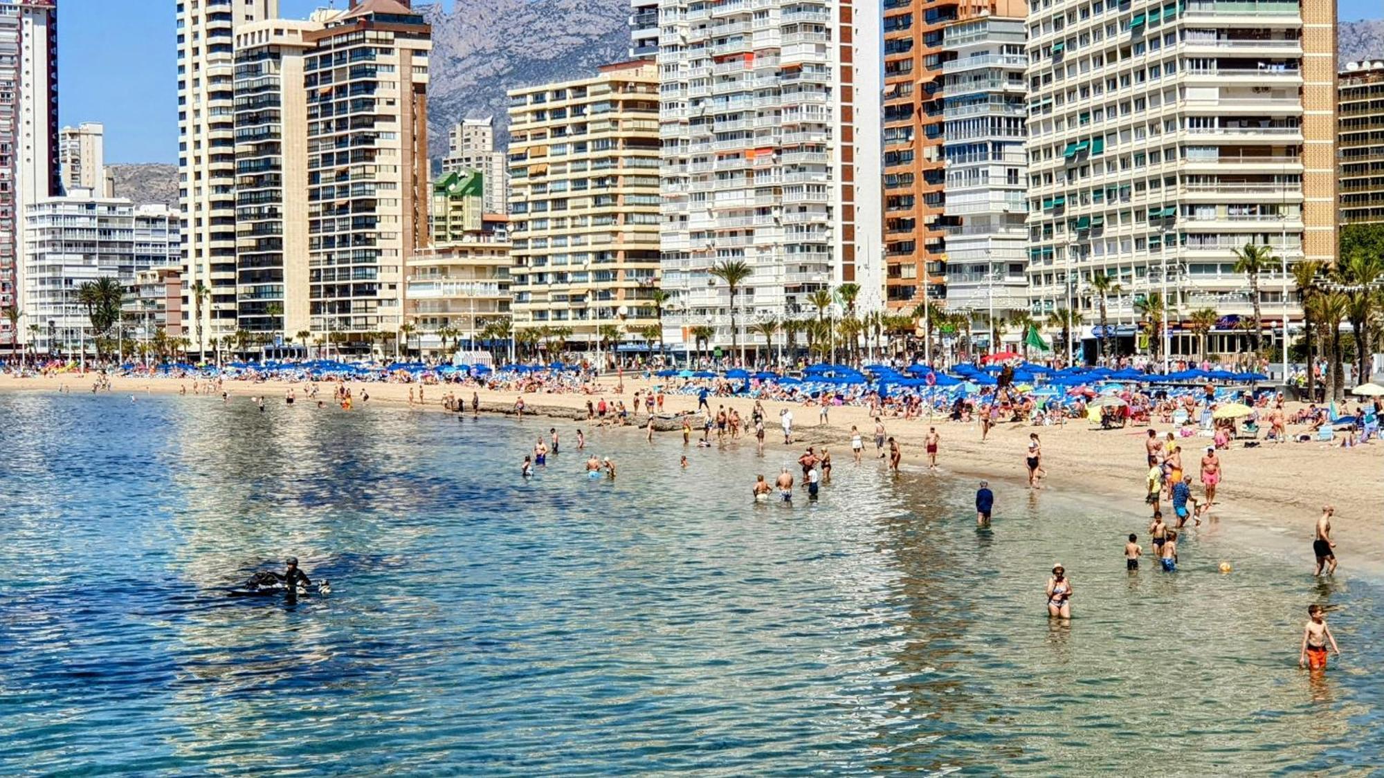 Apartamento Maysan If Benidorm Exteriör bild